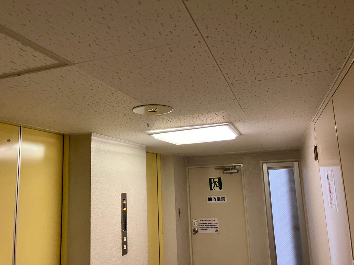 照明設備改修工事 共用部照明の確認